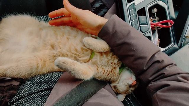 Зачем нужны деревни в будущем? смотреть онлайн
