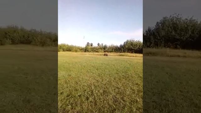 Моцик 200 кубов смотреть онлайн