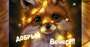 Добрый вечер ! Открытка с добрым вечером!
