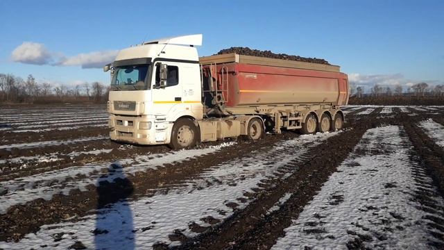 Уборка сах свеклы 2020 смотреть онлайн