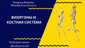 Виоргоны и костная система