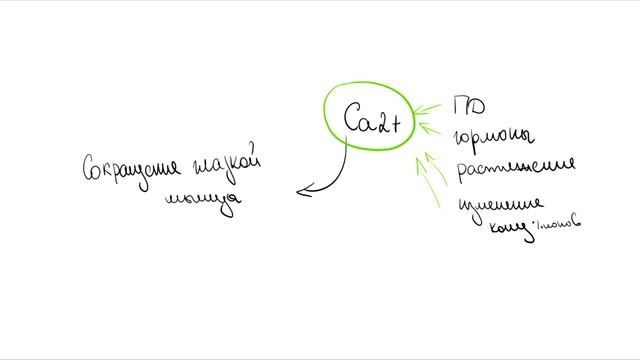 Лекция 4. 2. Мышцы. Нормальная физиология смотреть онлайн