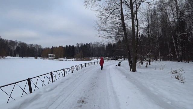 Прогулка по зимнему ботаническому саду в Минске смотреть онлайн