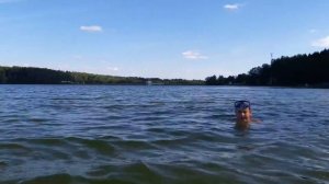 Детские нарукавники для обучения плаванию Морская звезда