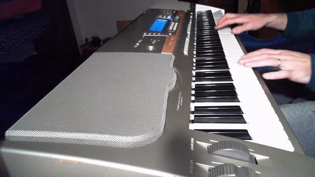 Casio WK-8000 Sounds You Would Never Expect From
