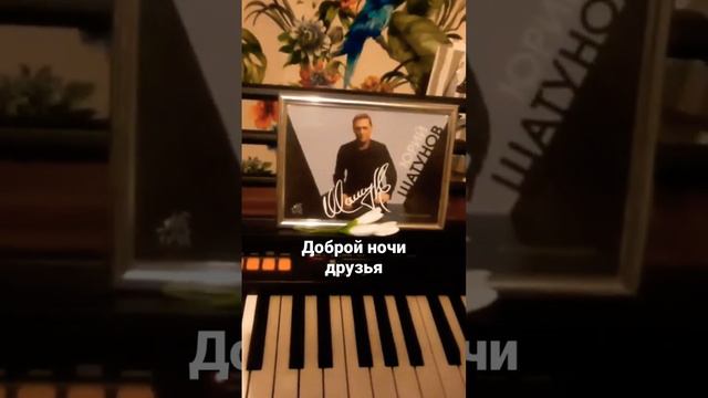 Белые розы Юры Шатунова. Фортепиано смотреть онлайн