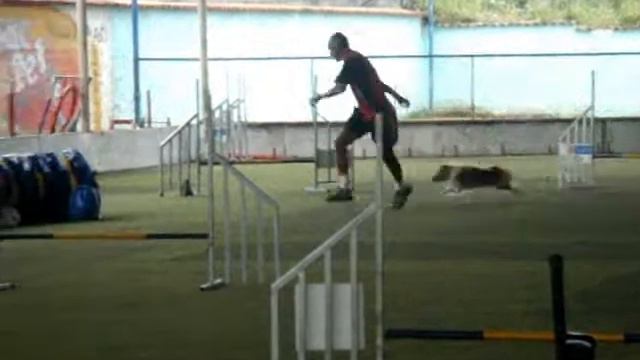 Paulo-Blanka jump 6º etapa.flv смотреть онлайн