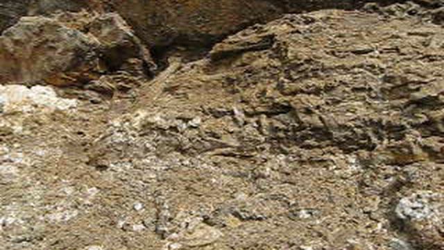 Лечение язвенных болезней.