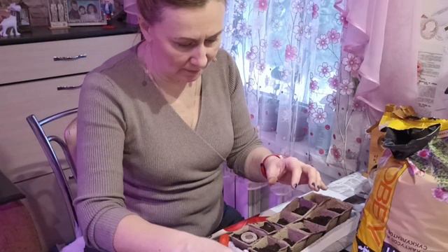 Сажаю #эустома Эустома Эхо Шампань F1 смотреть онлайн