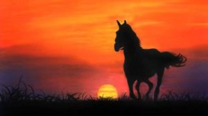 Выйду ночью в поле с конем