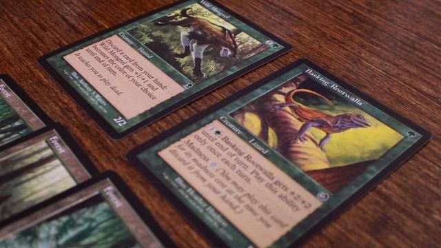 The Madness of Wild Mongrel смотреть онлайн