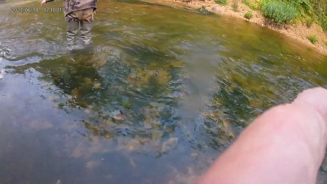 Release fario no kill point de vue Papa смотреть онлайн