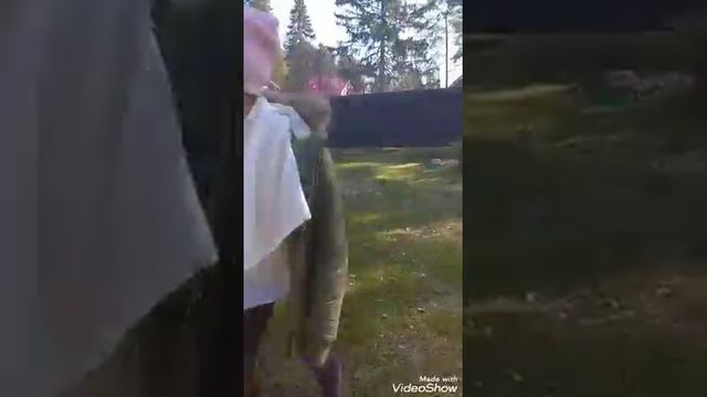 Типы ПОХОДОК людей на улице смотреть онлайн