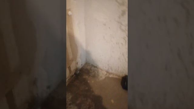 РЕМОНТ КВАРТИРЫ, РАЗВОДКА ВОДЫ И КАНАЛИЗАЦИИ В ШТРОБЕ. Г ЛИПЕЦК УЛ ЗВЁЗДНАЯ. смотреть онлайн