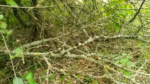 Вкусные блюда на любой вкус 