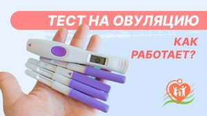 ? Тест на овуляцию - как работает?