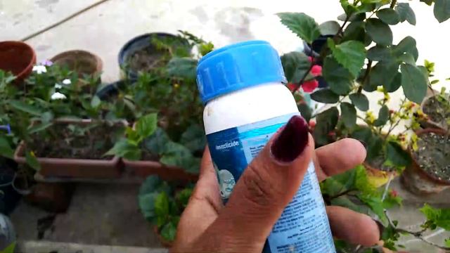 Imidacloprid pesticide use Bengali смотреть онлайн
