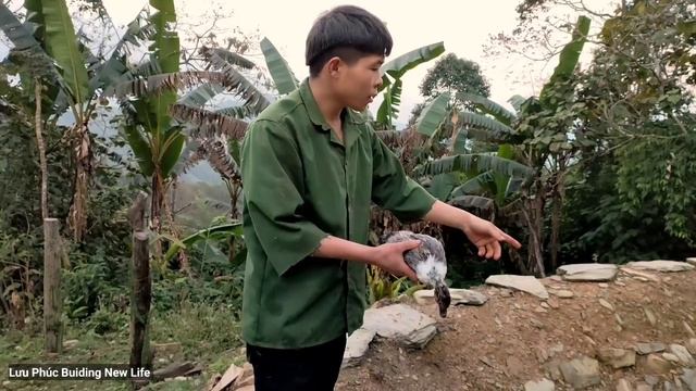 Building A Wooden Cabin, Make Stairs To The Cabin Floor / Living With Nature - Episode 8