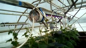 Освещение в теплице - Битва Led и ДНАТ ламп часть 2