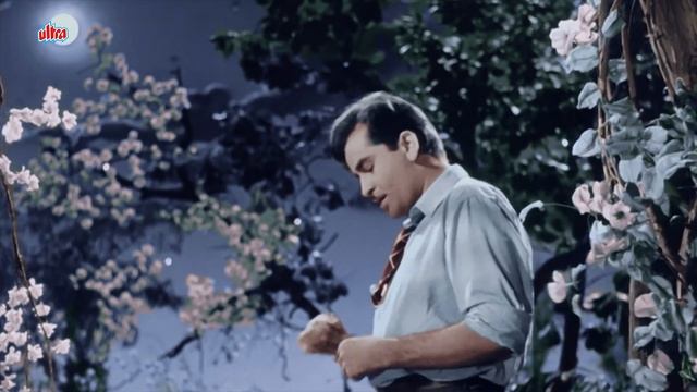 Aaja Sanam Madhur Chandni Mein Hum 4K | Chori Chori Song In Color | Raj Kapoor | Nargis смотреть онлайн