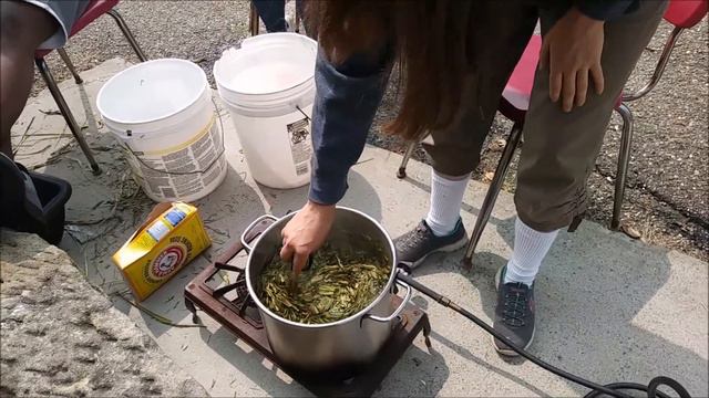 Making Paper from Invasive Plants: Controlling Johnson Grass смотреть онлайн