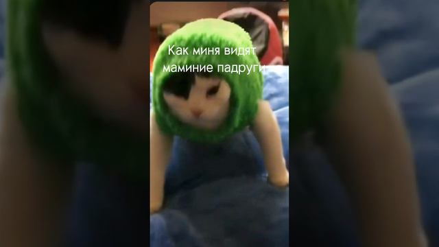 Ета правда, скора новая видео 📹 смотреть онлайн