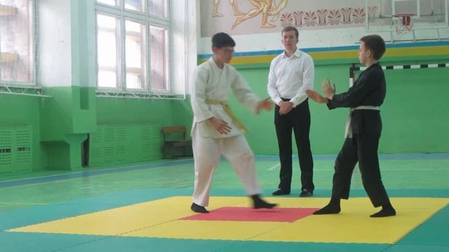 соревнования Айкидо 2016 Киев Житомир Н Каховка смотреть онлайн