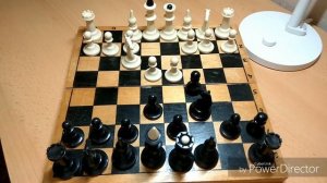 Первые ходы в шахматах? Как начинать игру?