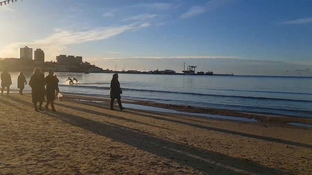 Анапа. Центральный пляж. Моржи в море😀 07.01.2024 смотреть онлайн