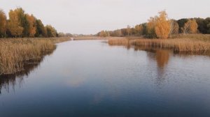 НА ЭТОТ ЗАПАХ СБЕЖИТСЯ ВЕСЬ КАРАСЬ С ВОДОЕМА! как ароматизировать опарыша перед рыбалкой?
