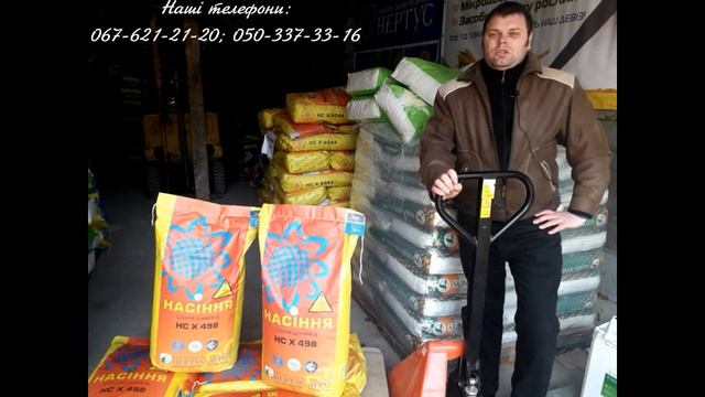 Соняшник НСХ 498 готовий до реалізації смотреть онлайн