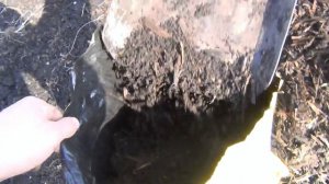 Набираем компост перегной и торф с торфяника для рассады и конский навоз