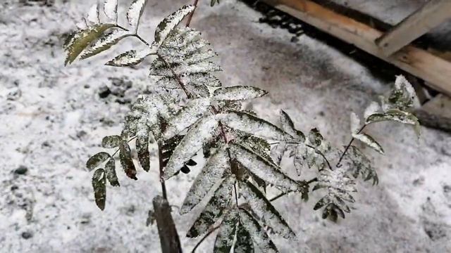 У природы нет плохой погоды смотреть онлайн