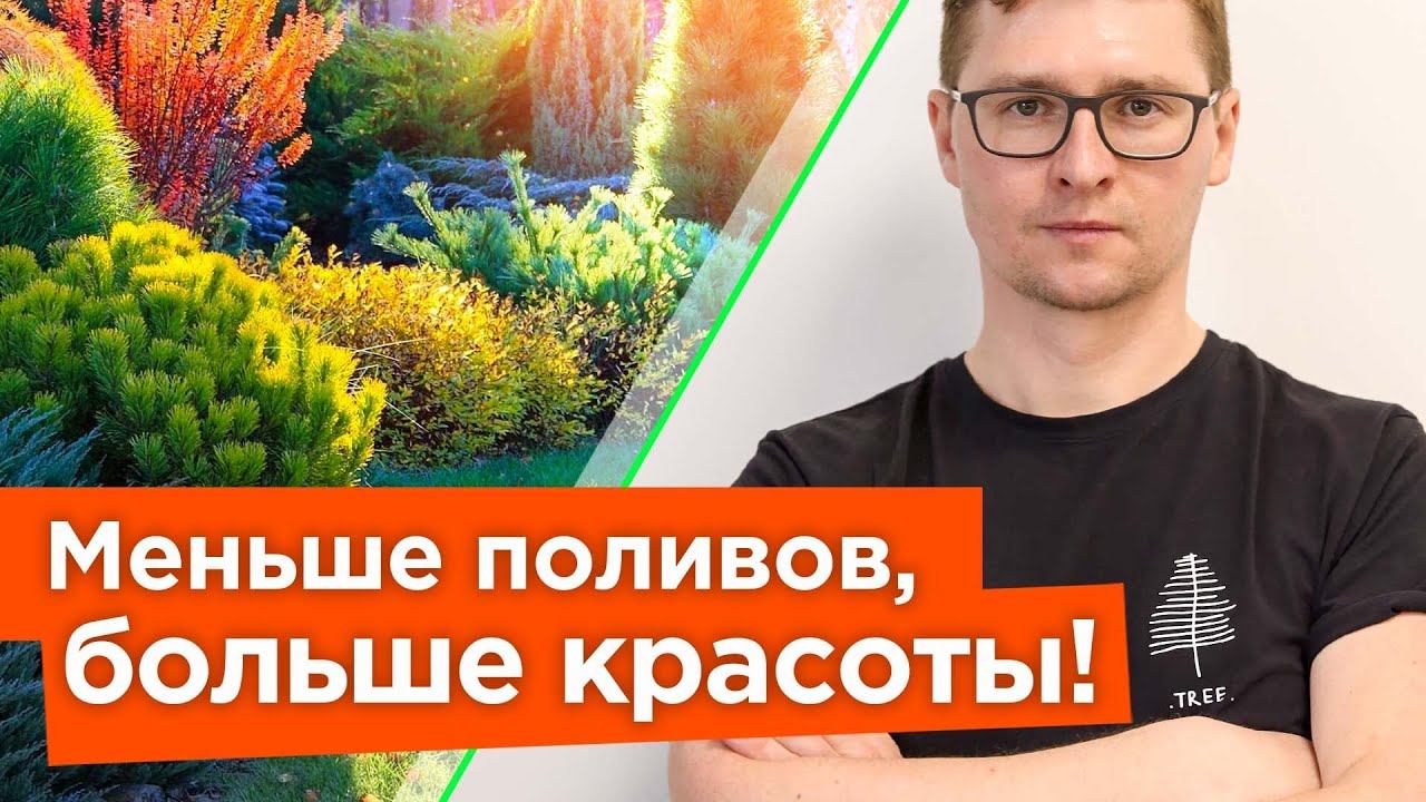 ЭТИ КУСТАРНИКИ ОБОЖАЮТ ЖАРУ! Неприхотливые и засухоустойчивые кустарники для солнечной стороны сада смотреть онлайн