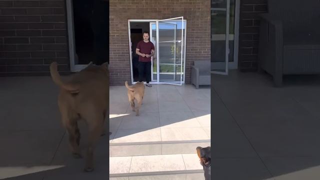 Идём домой после тренировки!) смотреть онлайн