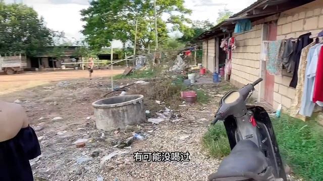 今天带几个妹纸去我们香蕉地看一看 смотреть онлайн