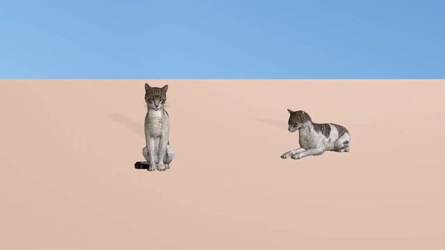 Скачать ресурсы для iClone 7 ( Кот ) Download resources for iClone 7 ( Cat ) смотреть онлайн