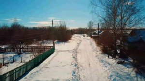 Зимняя конная охота с борзыми