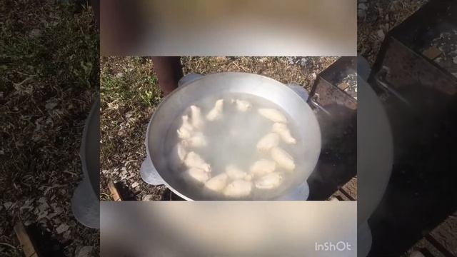 Здоровый Образ Жизни в Движении