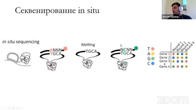 Антон Пушкин . Пространственные исследования экспрессии генов
