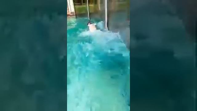 Тарзан с тигром смотреть онлайн