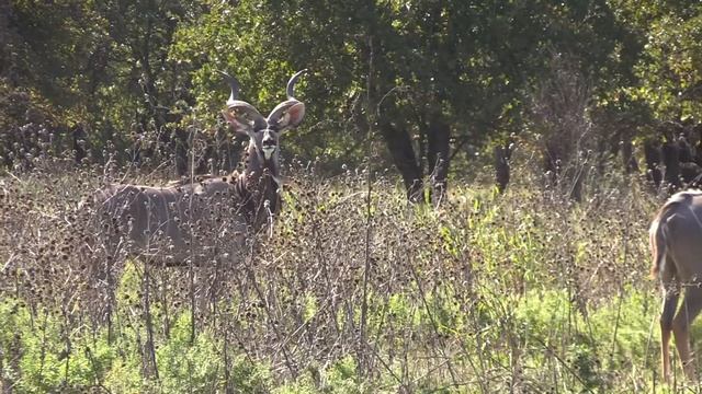 Sporting Clays  - Additional Activities For Shooters, Friends, And Families