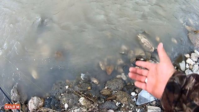 Рыбалка в Чечне. Ловля речного усача на реке Ярык-Су. смотреть онлайн