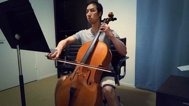 2016-08-28 Adult Beginner Cello Trial - Calin Wultur Guarneri #7 - First Impressions смотреть онлайн