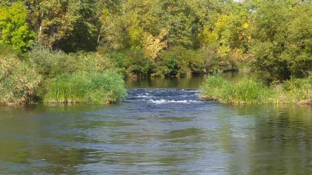 Река Калитва, Хутор Крутинский, Ростовская область (1) смотреть онлайн
