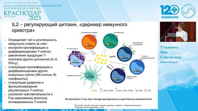 СOVID-19 и IL2 смотреть онлайн