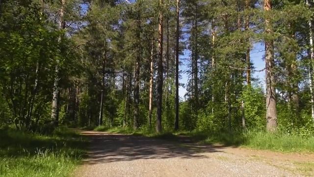 Шторм/Праздник Ивана Купала/Философия о гнусе. смотреть онлайн