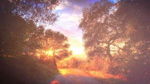 Футаж «Закат, природа»