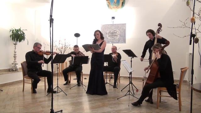 MUSICA AETERNA: Luigi Boccherini: „Quae moerebat et dolebat." Allegretto con motto смотреть онлайн