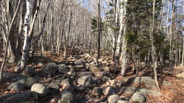 What is The Best App For The DJI Osmo Mobile? смотреть онлайн